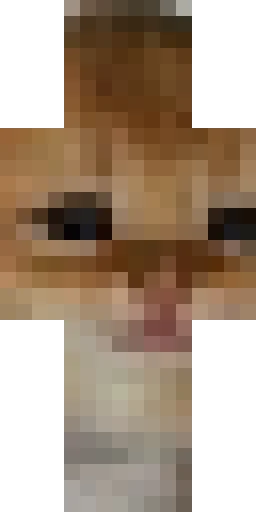 Кошка скин Майнкрафт — скачать PNG бесплатно