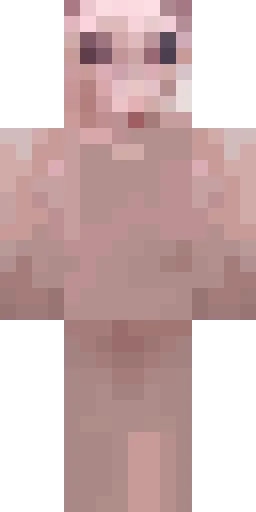 Кошка скин Майнкрафт — скачать PNG бесплатно
