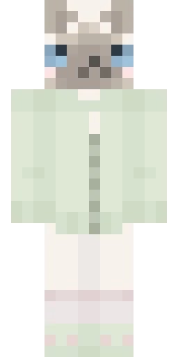 Кошка скин Майнкрафт — скачать PNG бесплатно