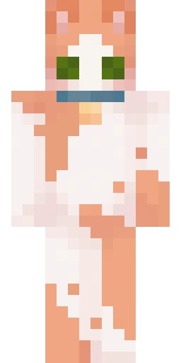 Мем скин Майнкрафт — скачать PNG бесплатно