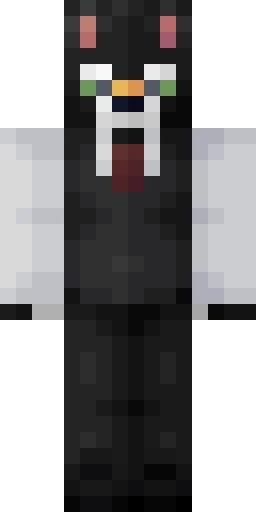 Кошка скин Майнкрафт — скачать PNG бесплатно