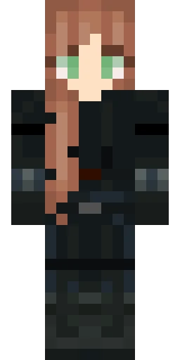 Из фильма скин Майнкрафт — скачать PNG бесплатно