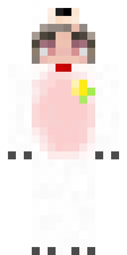Парный скин Майнкрафт — скачать PNG бесплатно