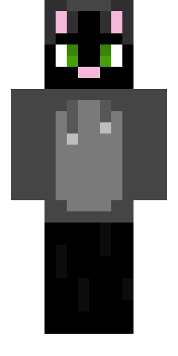 Кошка скин Майнкрафт — скачать PNG бесплатно