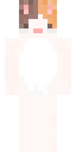 Кошка скин Майнкрафт — скачать PNG бесплатно