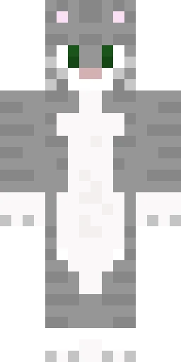 Кошка скин Майнкрафт — скачать PNG бесплатно