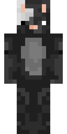 Кошка скин Майнкрафт — скачать PNG бесплатно
