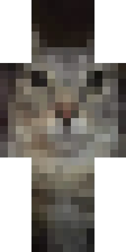 Мем скин Майнкрафт — скачать PNG бесплатно