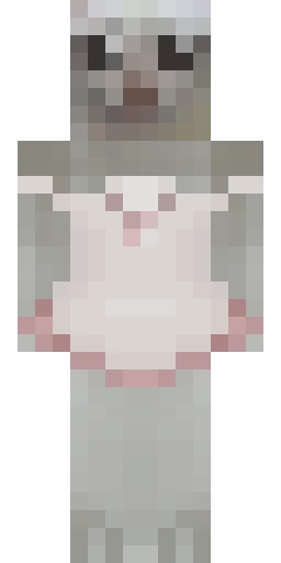 Кошка скин Майнкрафт — скачать PNG бесплатно