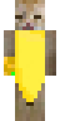 Кошка скин Майнкрафт — скачать PNG бесплатно