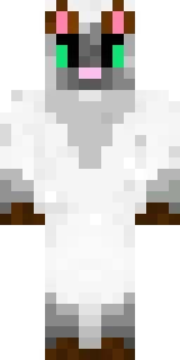 Кошка скин Майнкрафт — скачать PNG бесплатно