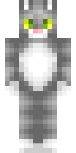 Кошка скин Майнкрафт — скачать PNG бесплатно