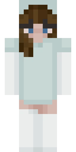 Мем скин Майнкрафт — скачать PNG бесплатно