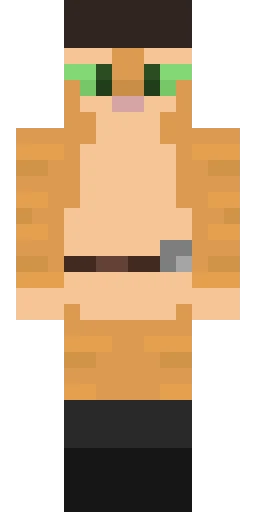 Кошка скин Майнкрафт — скачать PNG бесплатно