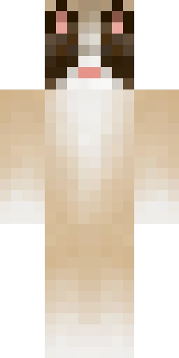 Кошка скин Майнкрафт — скачать PNG бесплатно