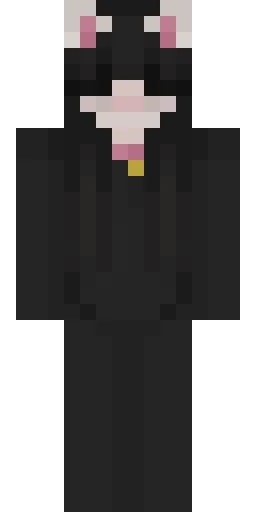 Кошка скин Майнкрафт — скачать PNG бесплатно