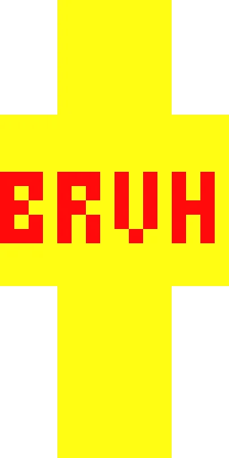 Мем скин Майнкрафт — скачать PNG бесплатно
