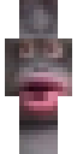 Мем скин Майнкрафт — скачать PNG бесплатно