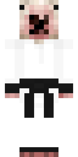 Мем скин Майнкрафт — скачать PNG бесплатно