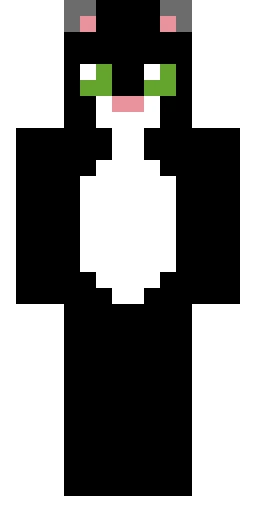 Кошка скин Майнкрафт — скачать PNG бесплатно