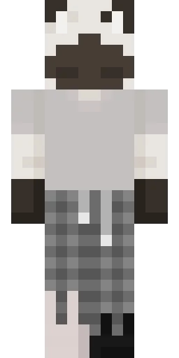 Кошка скин Майнкрафт — скачать PNG бесплатно