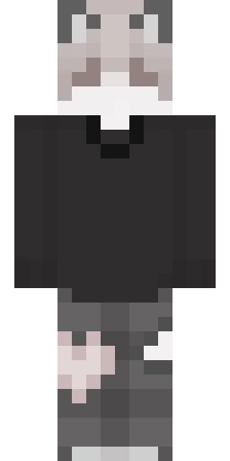 Кошка скин Майнкрафт — скачать PNG бесплатно