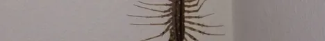 Выживание на острове