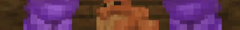 RCRAFTEX