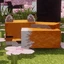 FoxyCraft
