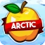 ArcticMC