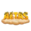 AETAS Network