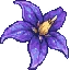 NightshadeSMP