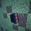 SurvivalSMP