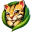 Gratopia