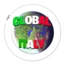 GlobalItaly Network
