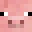 Nate SMP