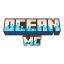 VoidSMP (US)