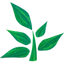 Pimbu