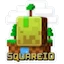 SquareIO