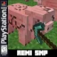 Elytra Zone