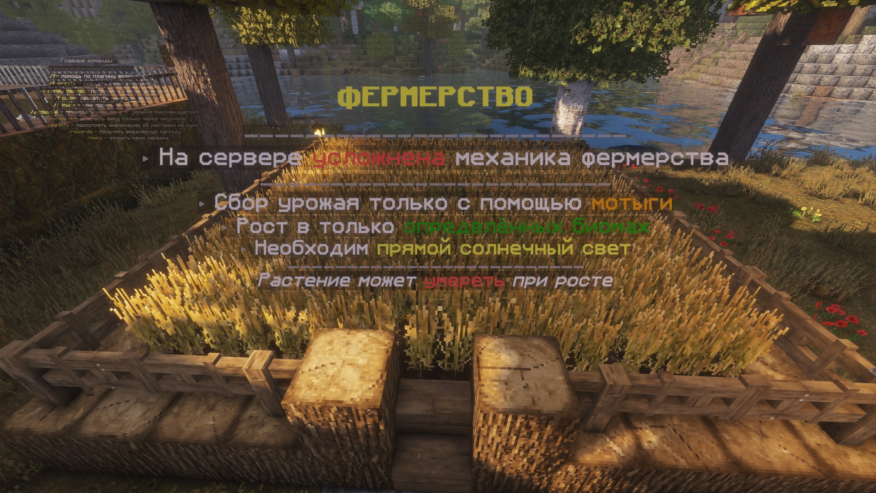 Скриншот 2