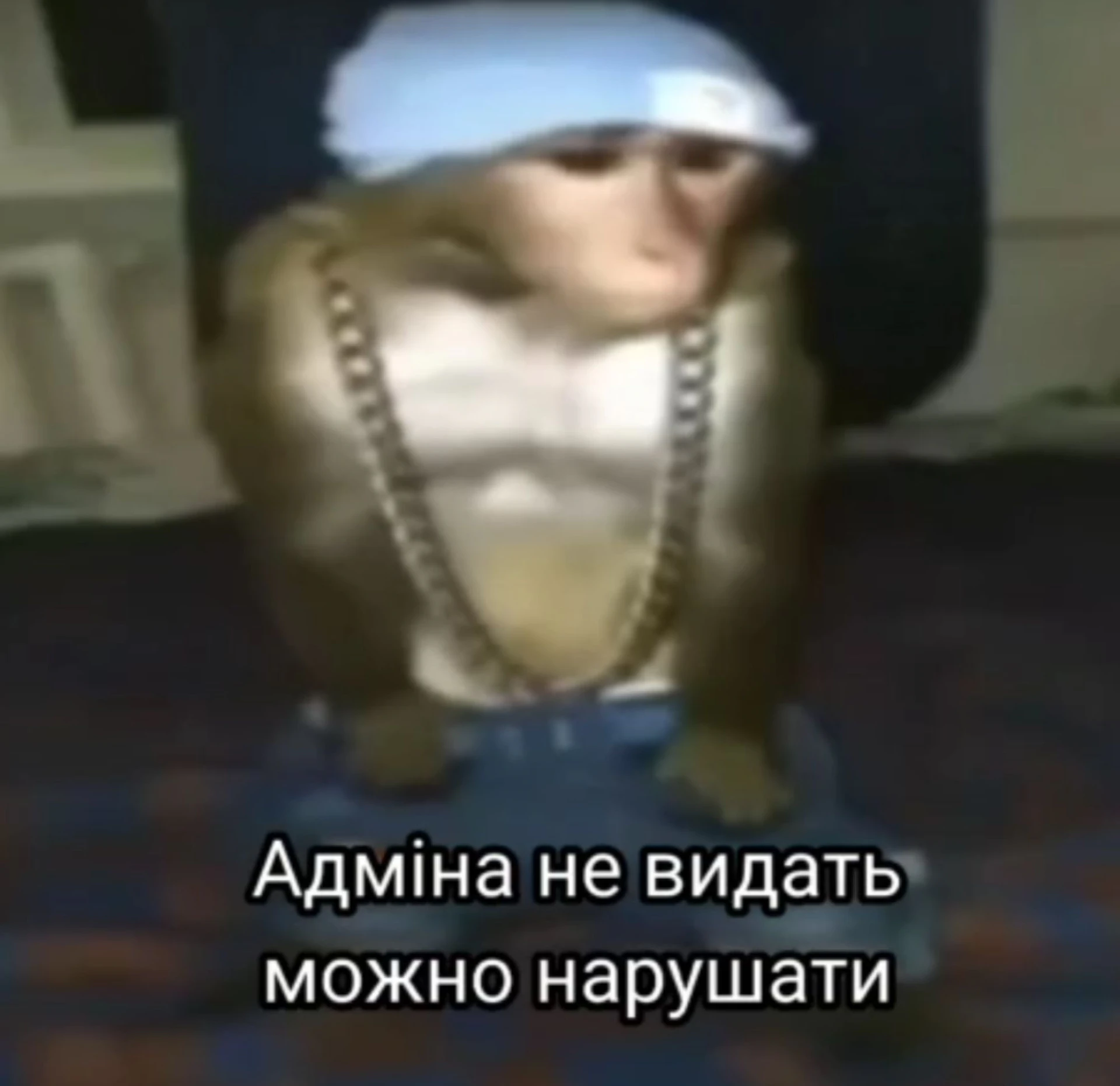 Скриншот 2