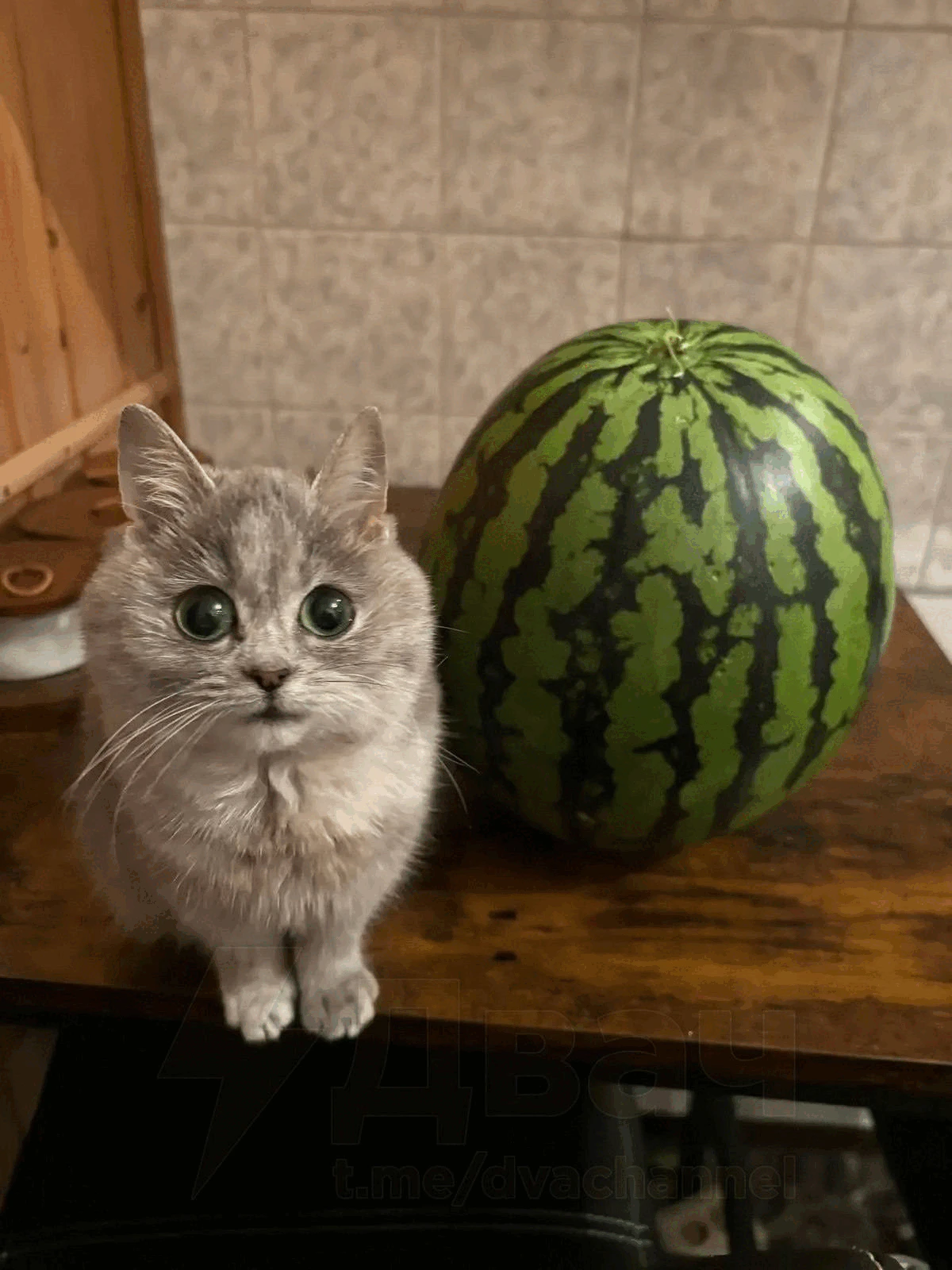 Скриншот 3